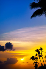 Naklejka na ściany i meble Silhouette coconut palm trees on beach at sunset