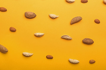 Many almonds on color background