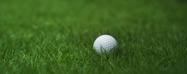 golf ball on green grass background