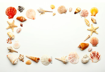 Obraz premium Frame made of beautiful sea shells on white background