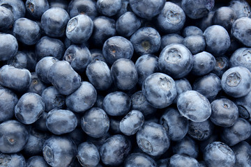 Many ripe blueberry as background