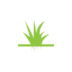 Grass icon graphic design template vector