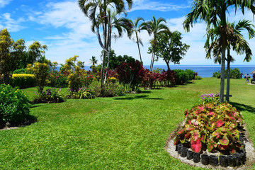 サモア　ウポル島　国立公園
