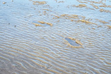 Footprints on wetland and a  curved pattern of beautiful sand beach for background backdrop 