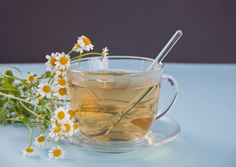 Glass of healthy herbal camomille tea. Naturopathy. Matricaria chamomilla.