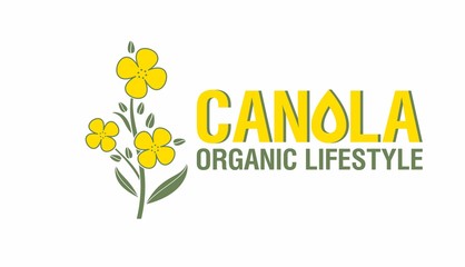 Yellow rape flowers, canola oil - health and beauty. Brassica napus. Vetor Illustration.