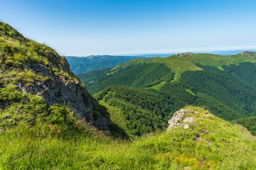 Panoramic morning scene, beauty summer mountain landscape, attractive view of green forest valley