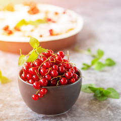Fresh red currants in dark bowl on grey background