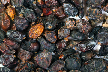 Dried barberry berries