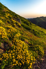 Mountain valley during sunrise. Natural summer landscape