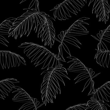Nature seamless pattern. Hand drawn  tropical summer background: white palm tree leaves, line art. Black background.
