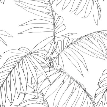 Nature seamless pattern. Hand drawn  tropical summer background: black palm tree leaves, line art. White background.