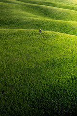 Countryside near Pienza, Tuscany, Italy