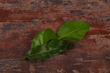 Kafir lime leaves - addition for Asian cuisine