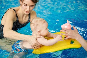 Female trainer carrying out swimming courses for parents and babies in pool. Baby floating with board and looking at toy in cropped hands. Swimming lessons for children health and development