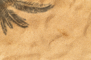 Summer background, sand from small pebbles with palm shadow with copy space. Summer vacation, beach, tropics, tanning concept