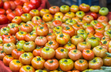 tomatoes at the market