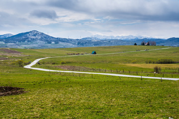Fototapeta na wymiar Montenegro, Street through green meadows and mountains of highlands nature landscape near provalija town in untouched rural countryside