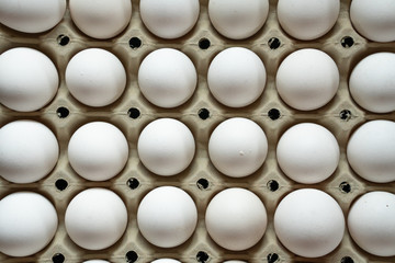 White eggs in pulp paper egg tray. White eggs in recycable pulp egg tray
