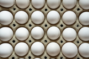 White eggs in pulp paper egg tray. White eggs in recycable pulp egg tray