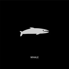 white whale vector icon on black background. modern flat whale from nautical concept vector sign symbol can be use for web, mobile and logo.