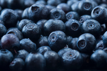 Fresh ripe blueberries with drops of dew. Macro photo. Fresh blueberry background. Texture blueberry berries close up. Ripe bilberry background. Texture bilberry berries close up. Top view. 