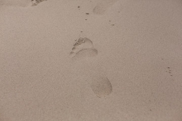 Footprint on the sand at beach
