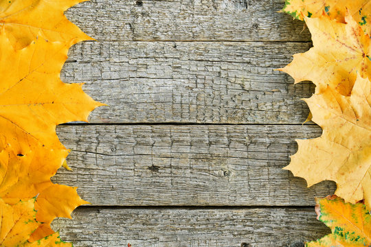 Orange maple leaves lying on the wooden boards on the right and left sides of the image