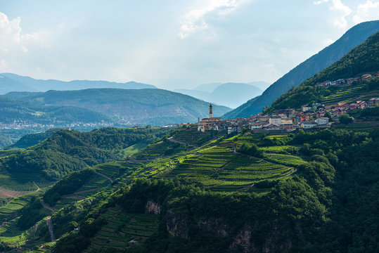 Small village of Faver, famous for wine production. Italian Alps, Cembra valley, Trento Province, Trentino Alto Adige, Italy, Europe