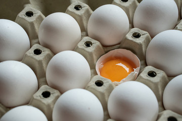 Half cracked egg in the paper egg tray. Egg yolk in egg shell. White eggs
