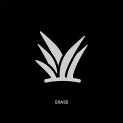 white grass vector icon on black background. modern flat grass from autumn concept vector sign symbol can be use for web, mobile and logo.