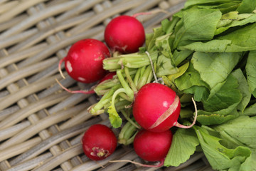 Bush of radish on wooden table background
