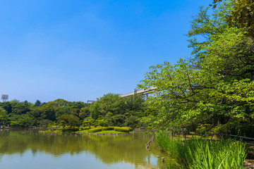 Fototapeta na wymiar 千葉公園の綿打池の風景
