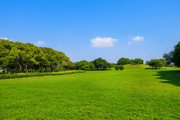 Obraz premium 千葉ポートパークの風景