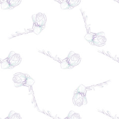 Flower Pastel.White Romantic Seamless Pattern.