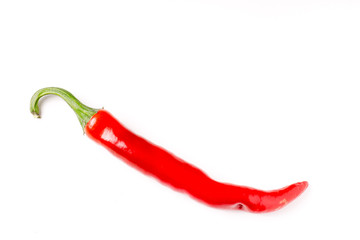 hot chili pepper isolated and with copyspace