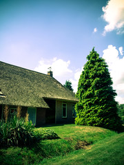 Fototapeta na wymiar House with thatched roof and spruce tree