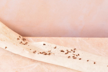 Domestic cockroaches stuck to the sticky tape covering all the cracks and gaps in the kitchen. Cockroaches stuck to masking tape. Fighting cockroaches in the kitchen