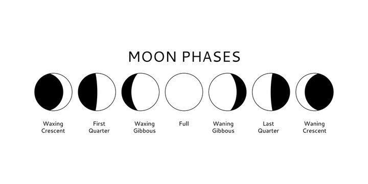 Moon phases set, calendar symbols, vector illustration