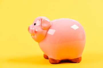 Financial education. Finances and investments bank. Better way to bank. Piggy bank adorable pink pig close up. Accounting personal accountant and family budget. Piggy bank symbol of money savings