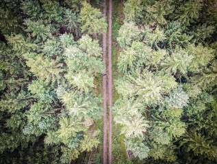 Aerial Drone Photo of a Forest Path in Germany