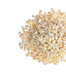 Barley isolated on white background