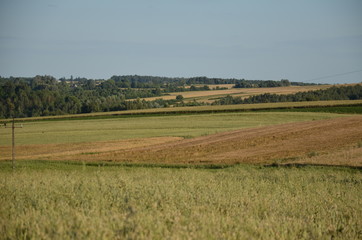 krajobraz, pola, niebo, charakter, gras, rolnictwa, lato, hayfield, zieleń, obszarów wiejskich, countryside, farma, drzew, blękit, kraj, drzew, górka, chmura, pola, rolnictwa, jary, chmura, kraina, zi