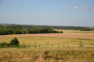 krajobraz, pola, niebo, charakter, gras, rolnictwa, lato, hayfield, zieleń, obszarów wiejskich, countryside, farma, drzew, blękit, kraj, drzew, górka, chmura, pola, rolnictwa, jary, chmura, kraina, zi