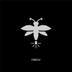 white firefly vector icon on black background. modern flat firefly from summer concept vector sign symbol can be use for web, mobile and logo.