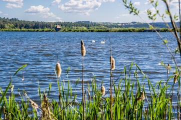 Lake Brombaсhsee in Germany in spring