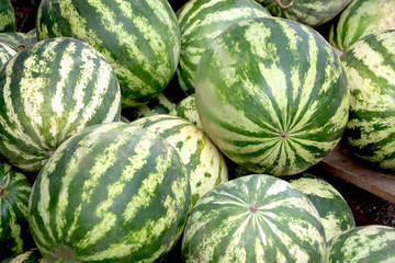 many watermelons are sold on the street in the summer in the heat