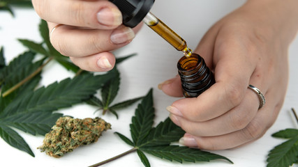 The young person hold in his hand cannabis oil. Marijuana buds and leaves. Cannabis is a concept of herbal medicine.