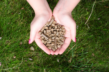 Pellet © chrzanowskiart