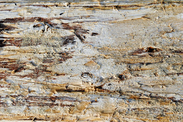 Wooden close up natural texture background